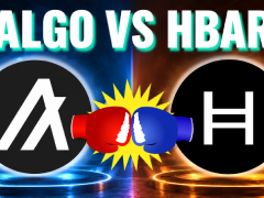 QNT暴涨后,资金开始点名HBAR和ALGO:一场美国机构代币的接力