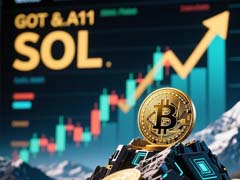 SOL交易所质押实测指南
