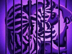 暗网创始人获刑40年，损失价值1亿美元BTC，市场追问资金流向何处