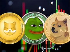10月值得入手的meme币有哪些？5大主流meme币盘点