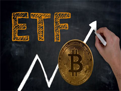 贝莱德比特币 ETF 新玩法拆解，下行保护如何实现？
