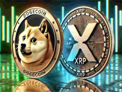 XRP和DOGE迎来买入信号，如何判断进场窗口？