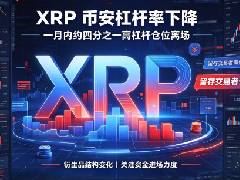 XRP（瑞波币）交易者一个月内削减币安四分之一杠杆，留存资