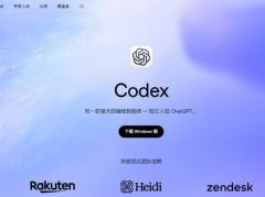 Codex实现AI自动化运维实战操作详解