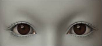 3Dsmax PS�������������硷����