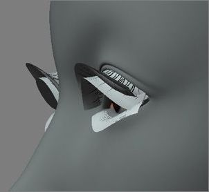 3Dsmax PS�������������硷����