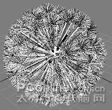 3ds MAXʵ���̳̣������ѹ�Ӣ