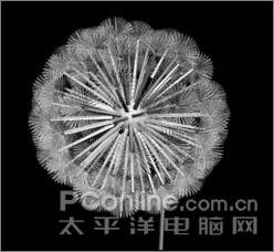 3ds MAXʵ���̳̣������ѹ�Ӣ