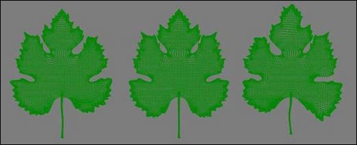 3ds Max教程:制作饱满多汁葡萄_脚本之家jb51.net整理