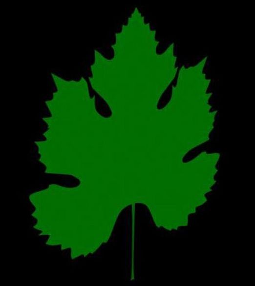 3ds Max教程:制作饱满多汁葡萄_脚本之家jb51.net整理