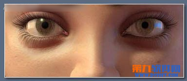 3dsMax绘制逼真的浓密深褐色眼睫毛教程