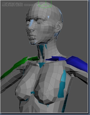 3D MAX建模教程：女性角色模型解析