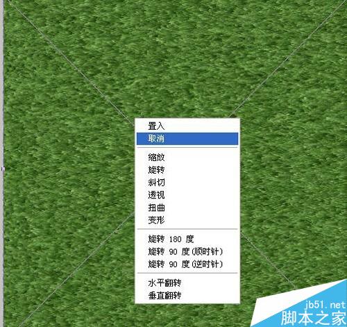Photoshop制作逼真的草地及草地凹陷字体
