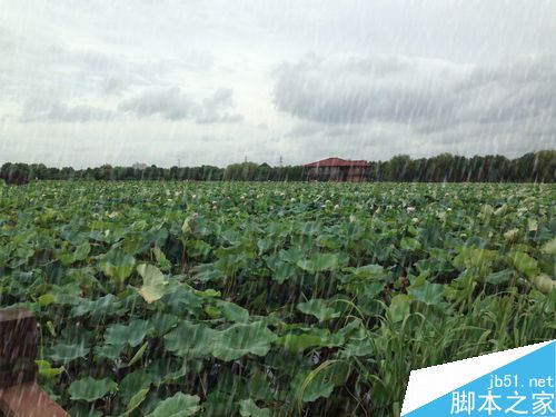 用ps后期制作逼真的下雨场景