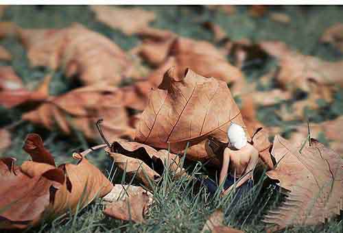 Photoshop�ϳ��д����΢��Ч��С�˹�����