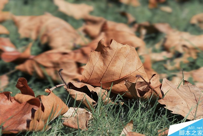 Photoshop�ϳ��д����΢��Ч��С�˹�����