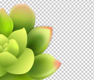 Photoshop设计很Q萌的多肉植物拟物化ICON