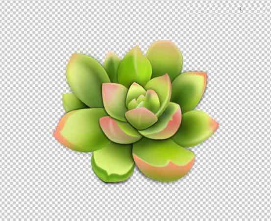 Photoshop设计很Q萌的多肉植物拟物化ICON