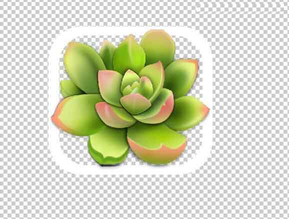 Photoshop设计很Q萌的多肉植物拟物化ICON