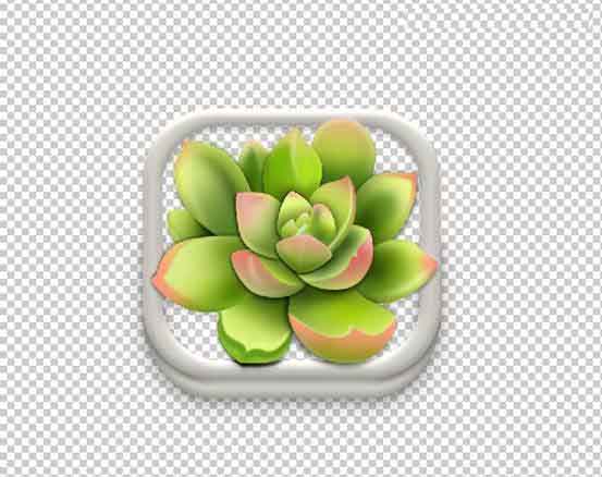 Photoshop设计很Q萌的多肉植物拟物化ICON