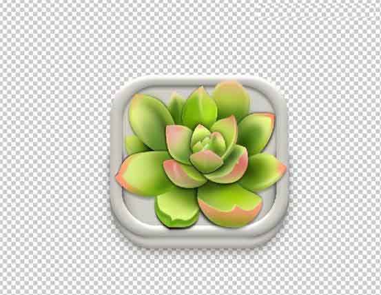 Photoshop设计很Q萌的多肉植物拟物化ICON