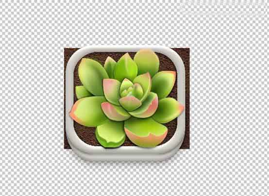 Photoshop设计很Q萌的多肉植物拟物化ICON