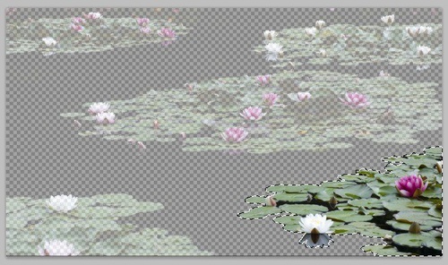 Photoshop�ϳ�Ψ��������ҹ�����ᵴ����