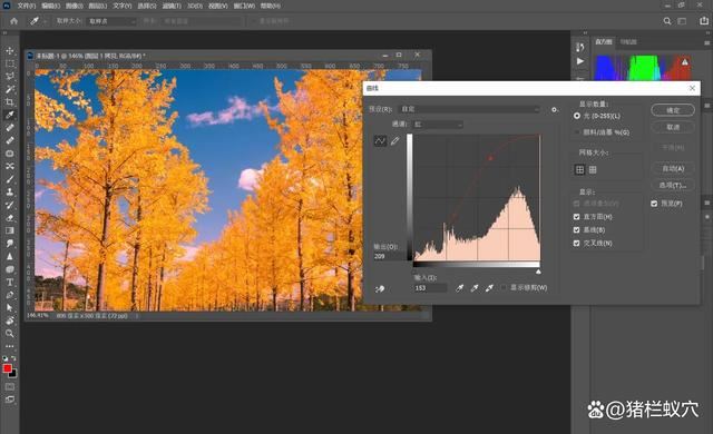 如何使用 PS 调整照片颜色和色调? ps照片调色技巧