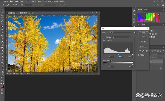 如何使用 PS 调整照片颜色和色调? ps照片调色技巧