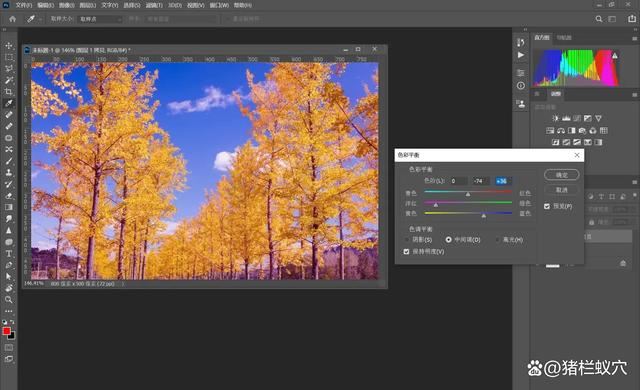 如何使用 PS 调整照片颜色和色调? ps照片调色技巧