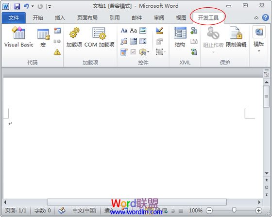 word2010选项卡图片