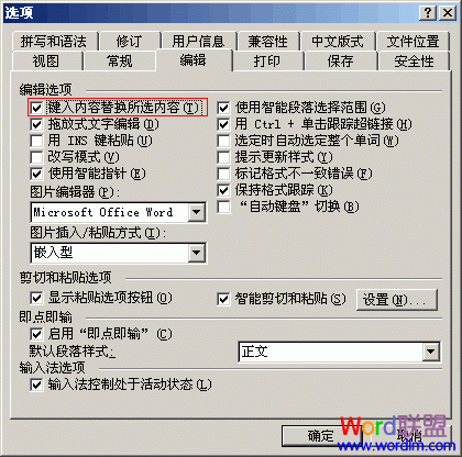 Word选中文字后输入时不能覆盖