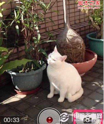 iPhone5如何内建相机录像拍照一起用 电脑百事网