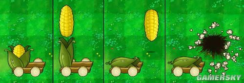 玉米投手加农炮概率图片