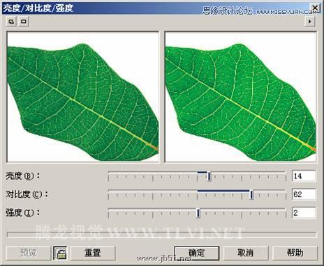 CorelDRAW设计环保宣传海报教程,PS教程,思缘教程网