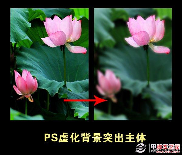 如何使用ps虚化背景突出主体photoshop高斯模糊实例教程 Photoshop教程 脚本之家