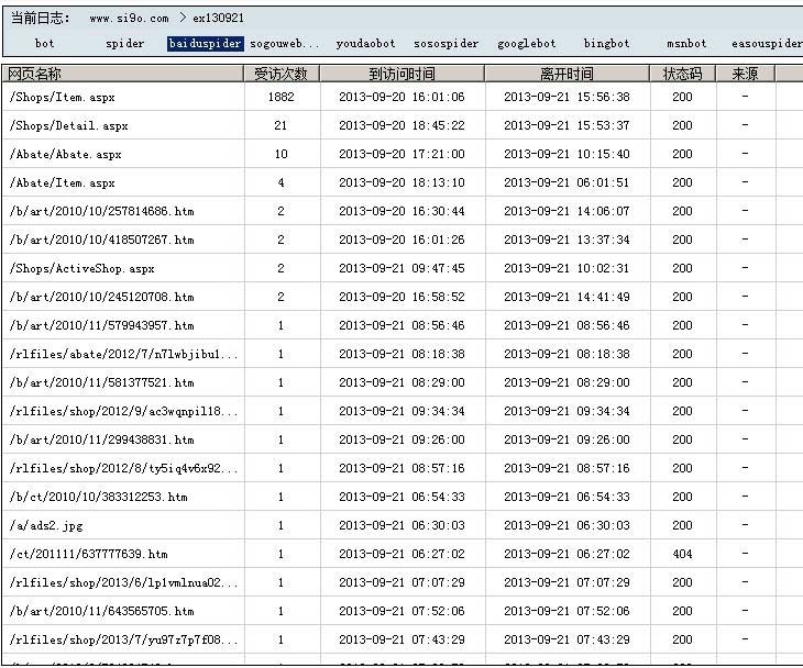 亮析网站日志分析工具结果预览