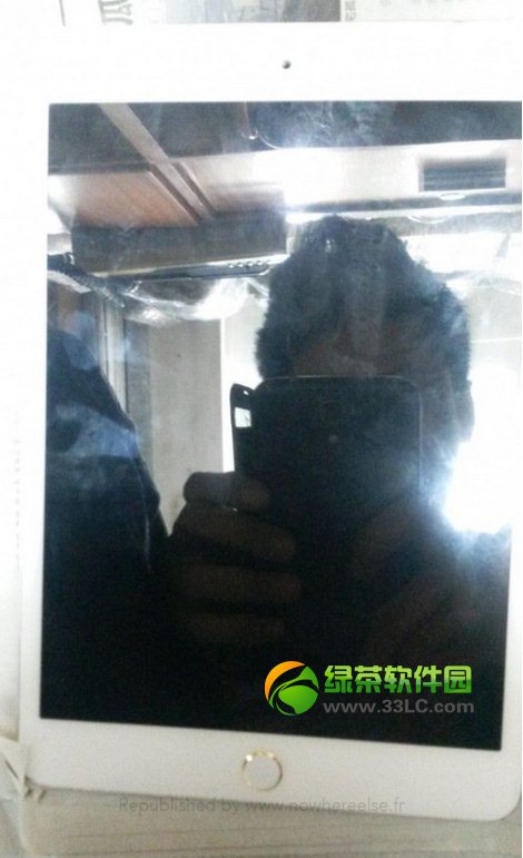 iPad mini3谍照曝光 有Touch ID指纹识别传感器2