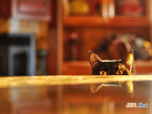 安卓手机防偷窥的小技巧