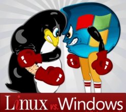 在微软Windows平台上打造Linux环境方法教程”