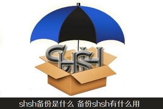 shsh备份是什么 备份shsh有什么用？