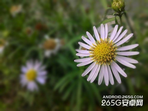 独特算法好成像 华硕ZenFone 5拍照评测 