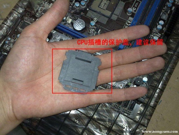 CPU保护盖（点击图片：查看大图）