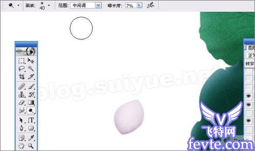 Photoshop鼠绘教程：绘制一副水墨映日荷花图
