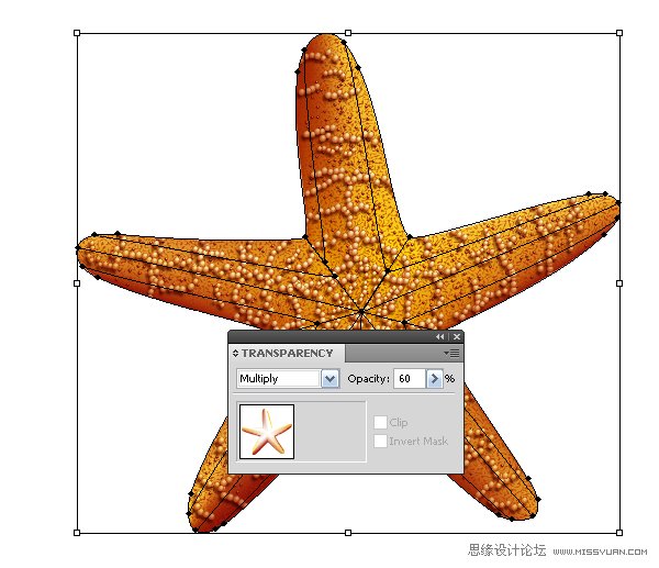 Illustrator绘制立体真实的海星教程,PS教程,思缘教程网