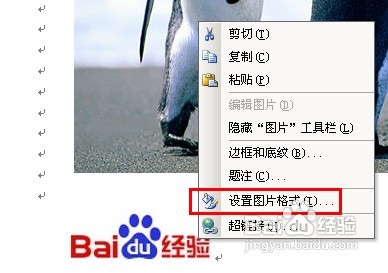 怎样用Word给图片加水印
