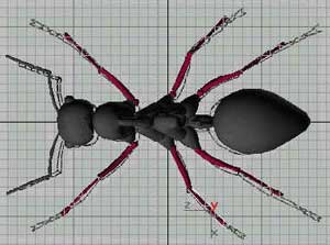 深入了解3DMAX建模技术--蚂蚁实例（上）
