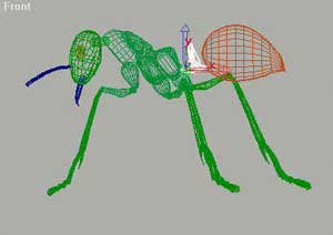 深入了解3DMAX建模技术--蚂蚁实例（上）