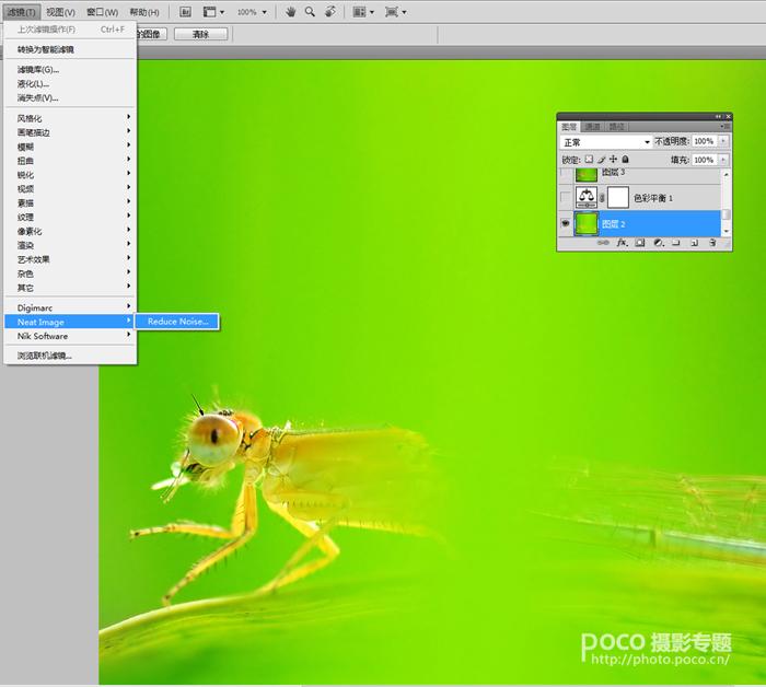 PS教程之像美女一样精修你的虫片(豆娘的后期处理教程)