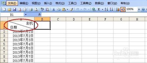 如何在电子表格的单元格中插入斜杠并输入文字